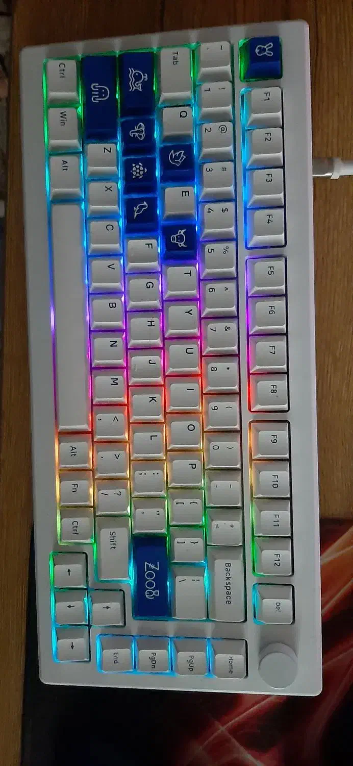 موس و کیبورد و روتر|قطعات و لوازم جانبی رایانه|ملارد, |دیوار