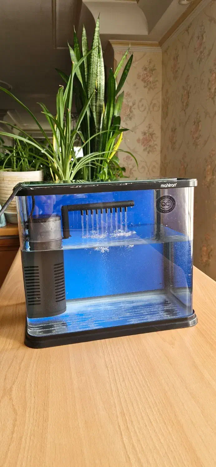 آکواریم و تصفیه و اکسیژن آب|ماهی|تهران, جیحون|دیوار