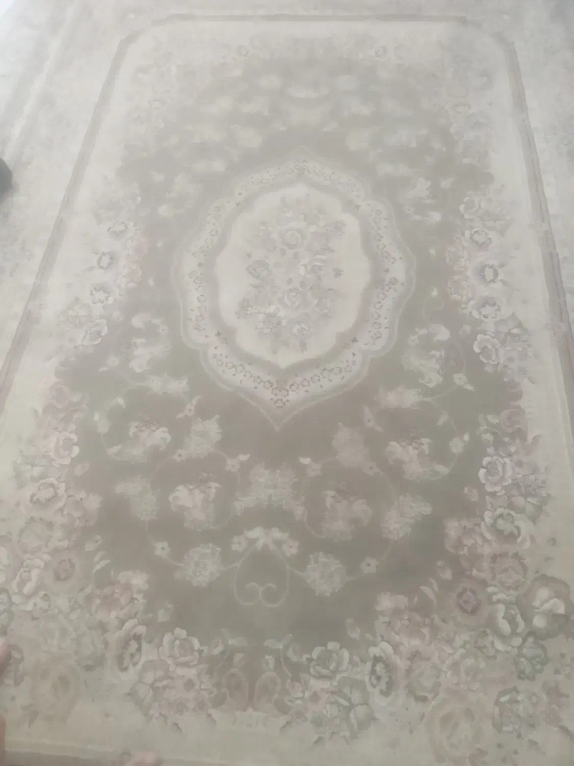 فرش نخی ۶ متر|فرش|بیرجند, |دیوار