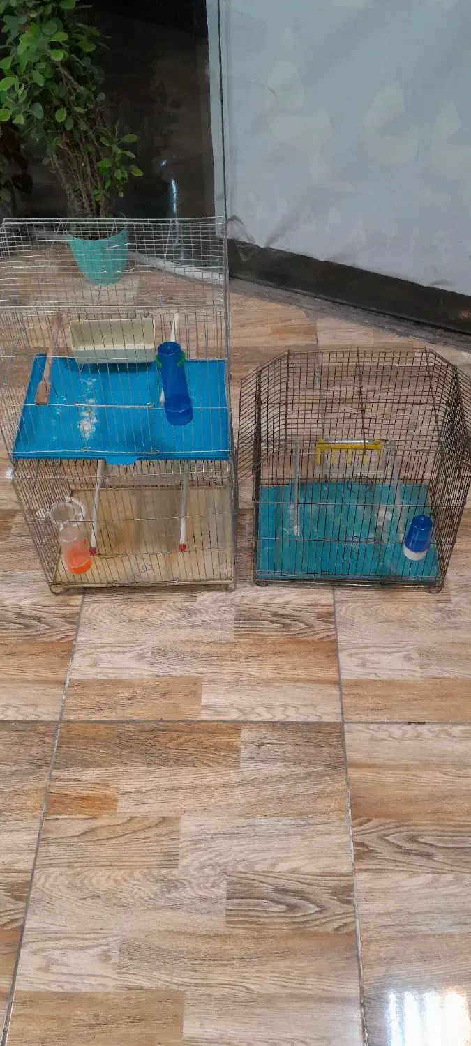 قفس سه عدد متوسط ویک عدد بزرگ جای طوطی|لوازم جانبی حیوانات|سنندج, |دیوار