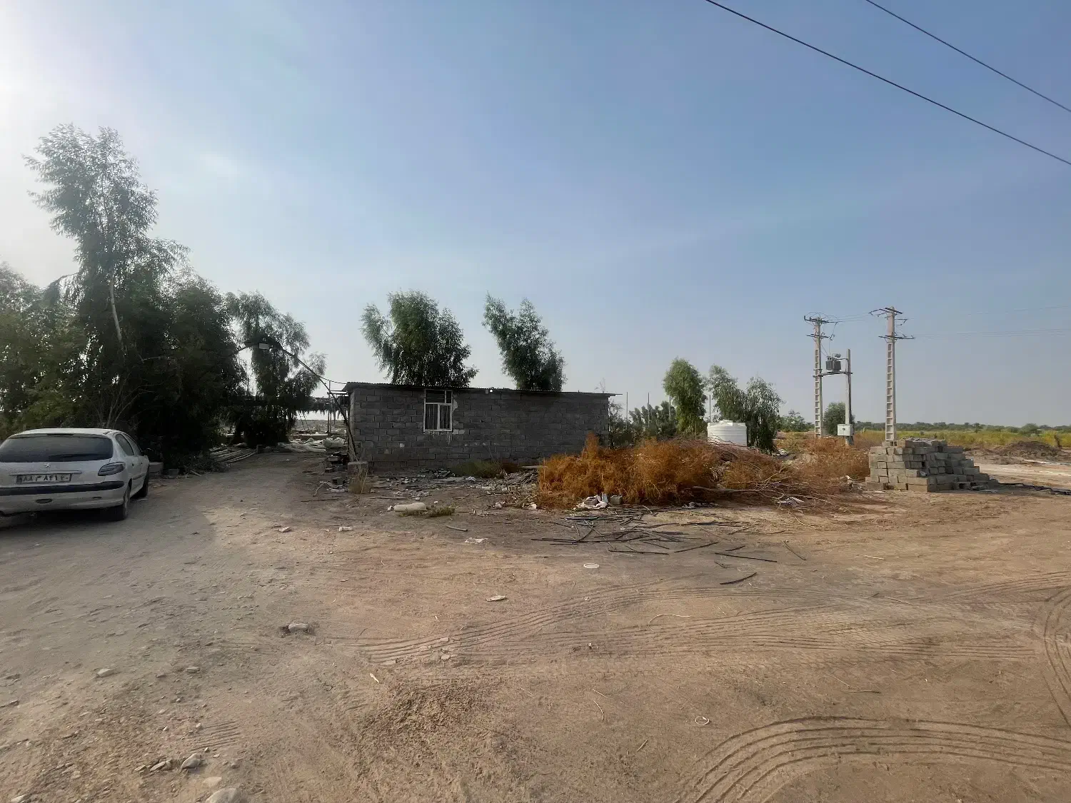 زمین گلخانه سردخانه|فروش دفتر صنعتی، کشاورزی، تجاری|عنبرآباد, |دیوار