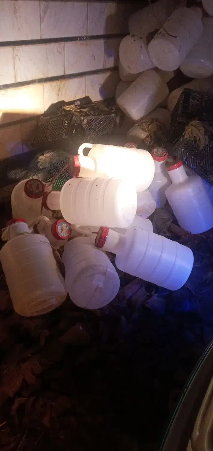 دبه خیارشور|ظروف نگهدارنده، پلاستیکی، یکبارمصرف|کرمانشاه, |دیوار