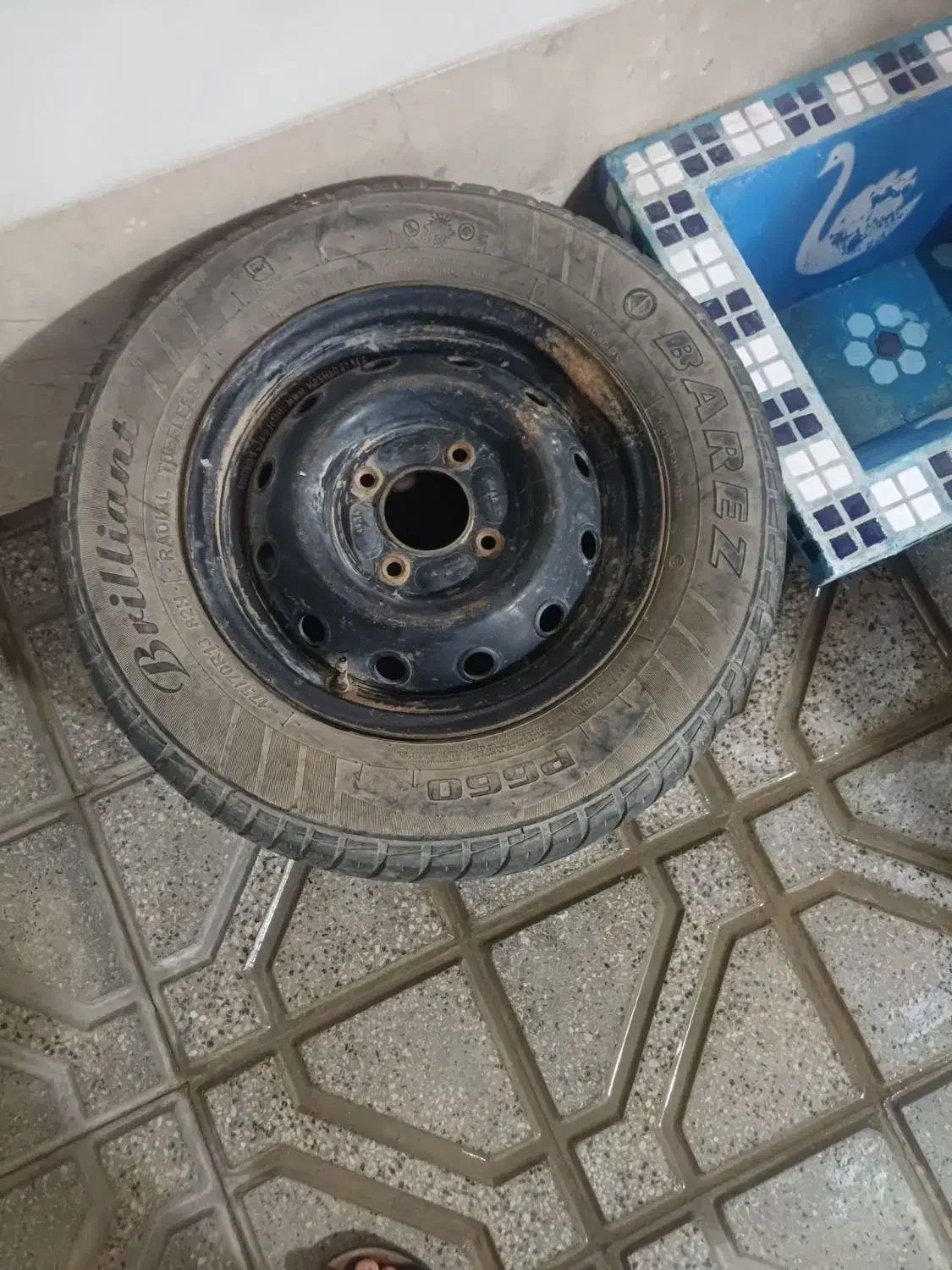 رینگ لاستیک ۱۳پیکان|قطعات یدکی و لوازم جانبی|تایباد, |دیوار