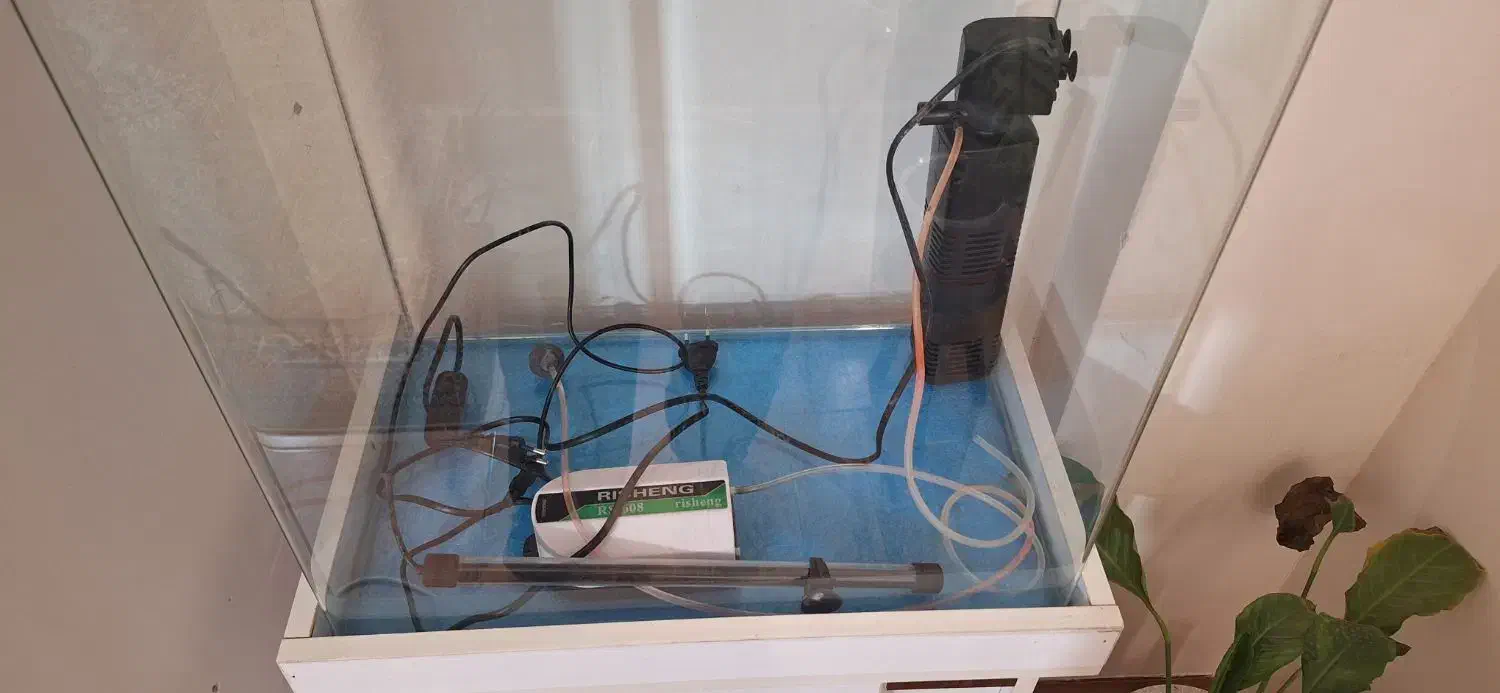 آکواریوم شرکتی شیشه خم|ماهی|ماهدشت, |دیوار