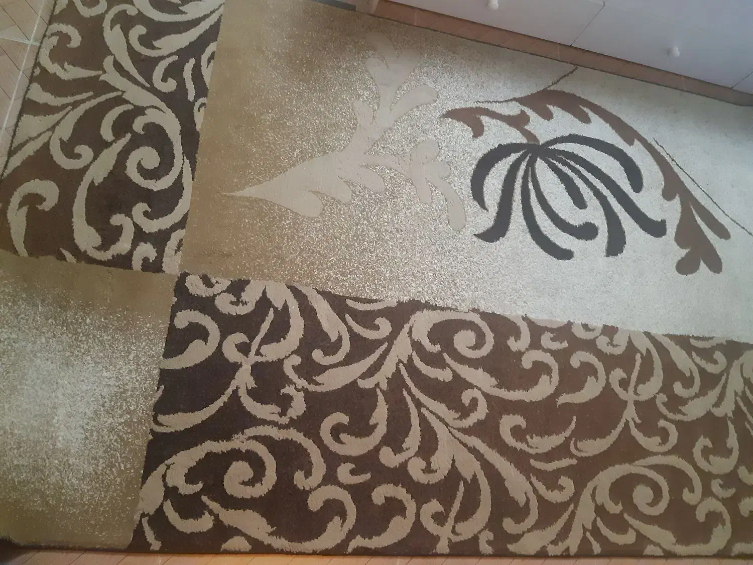 فرش فانتری ۴متری|فرش|رشت, سعدی (تختی)|دیوار