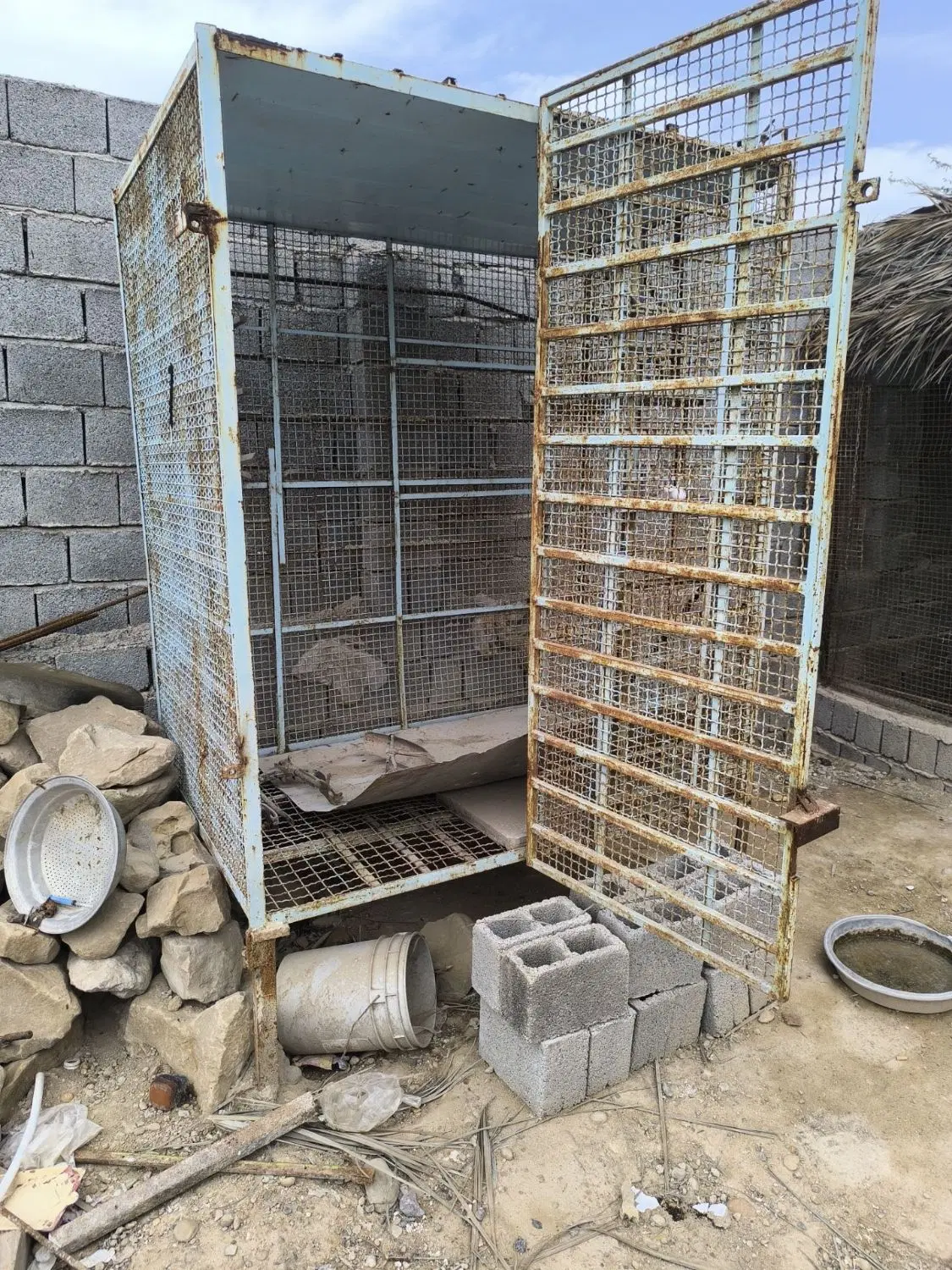 قفس|لوازم جانبی حیوانات|بندر گناوه, |دیوار