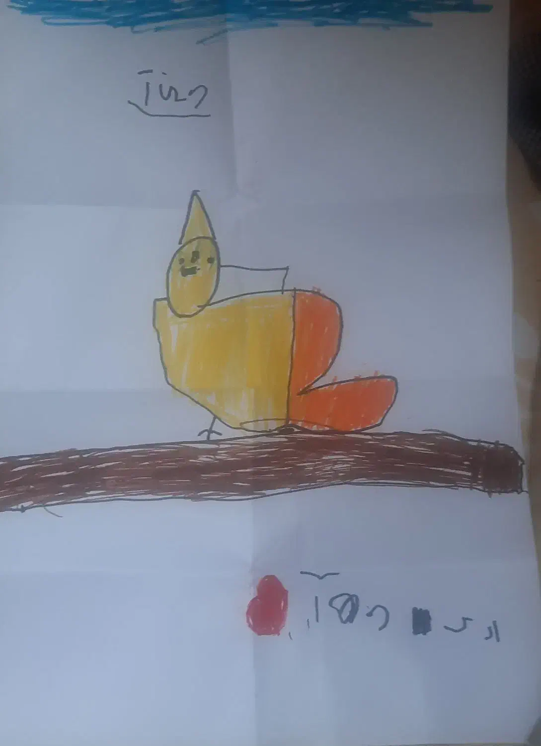 گمشده عروس هلندی به نام اودی|حیوانات|کیش, |دیوار