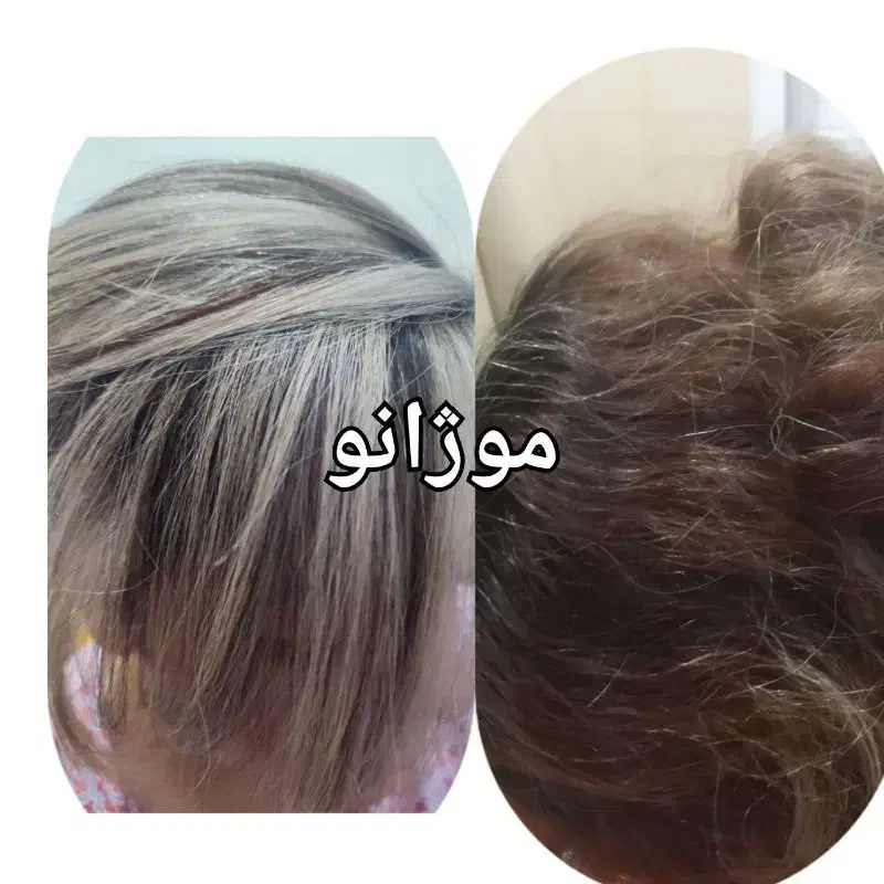 خدمات رنگ و احیا صافی مو|خدمات آرایشگری و زیبایی|دورود, |دیوار