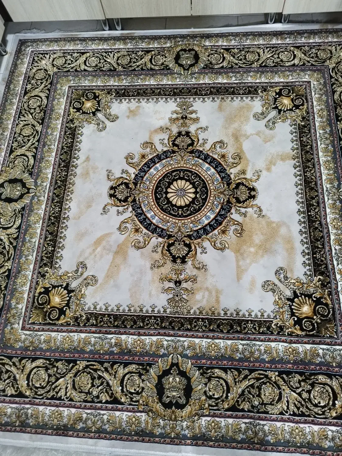 فرش ۷۰۰ شانه طرح ورساچ|فرش|مشکیندشت, |دیوار