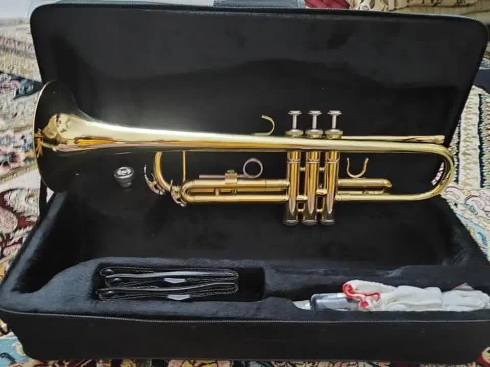 ترنپت|سازهای بادی|اردکان, |دیوار