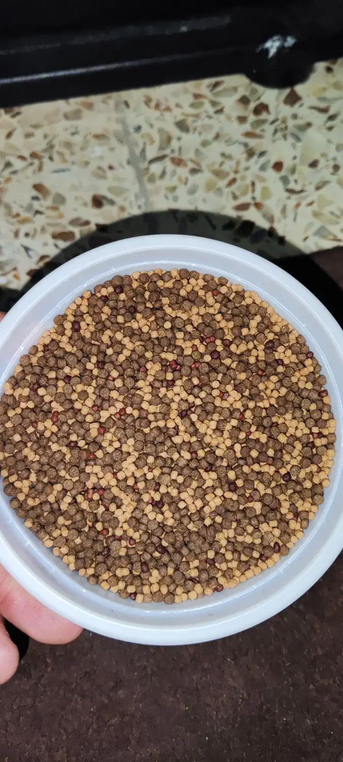میکس غذای گوشتخار|ماهی|شیراز, نصرآباد|دیوار