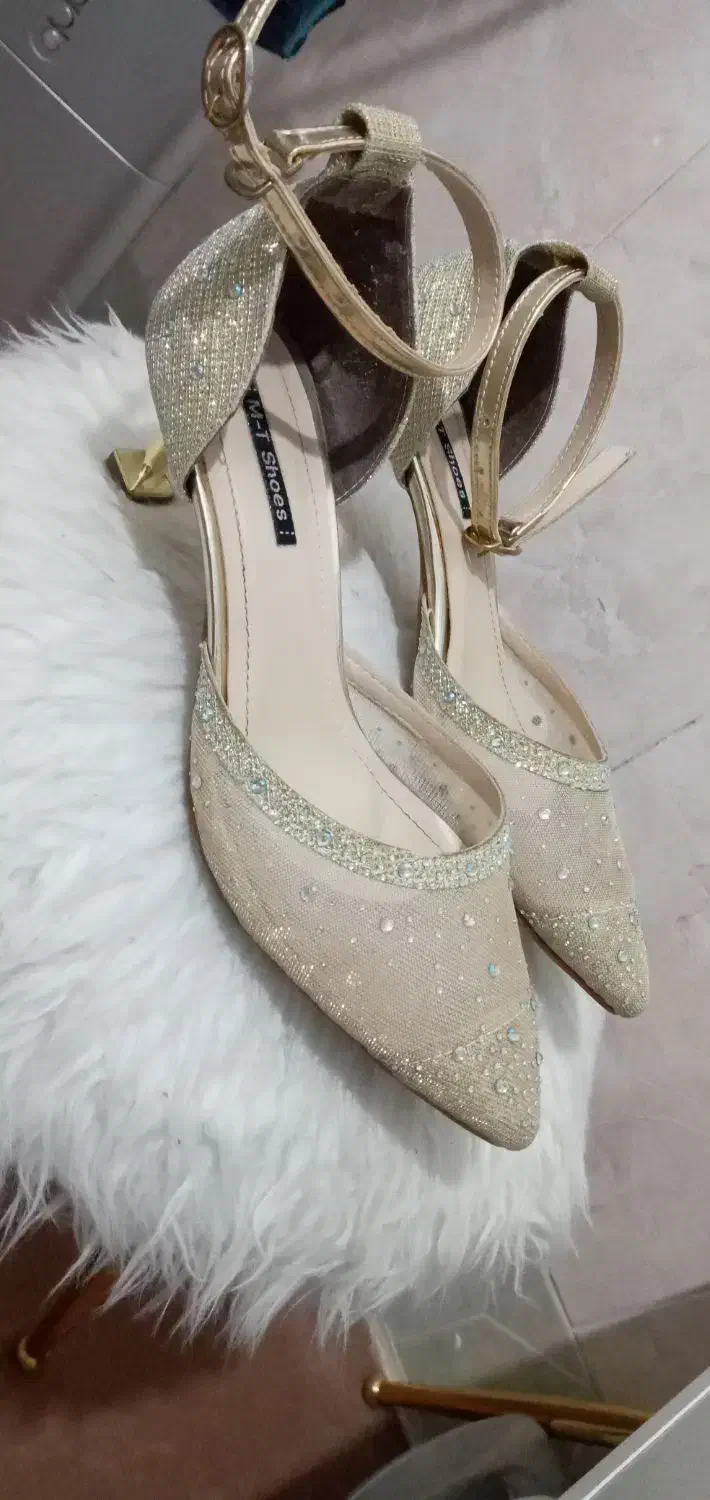 کفش زنانه|کیف، کفش، کمربند|قم, سالاریه|دیوار