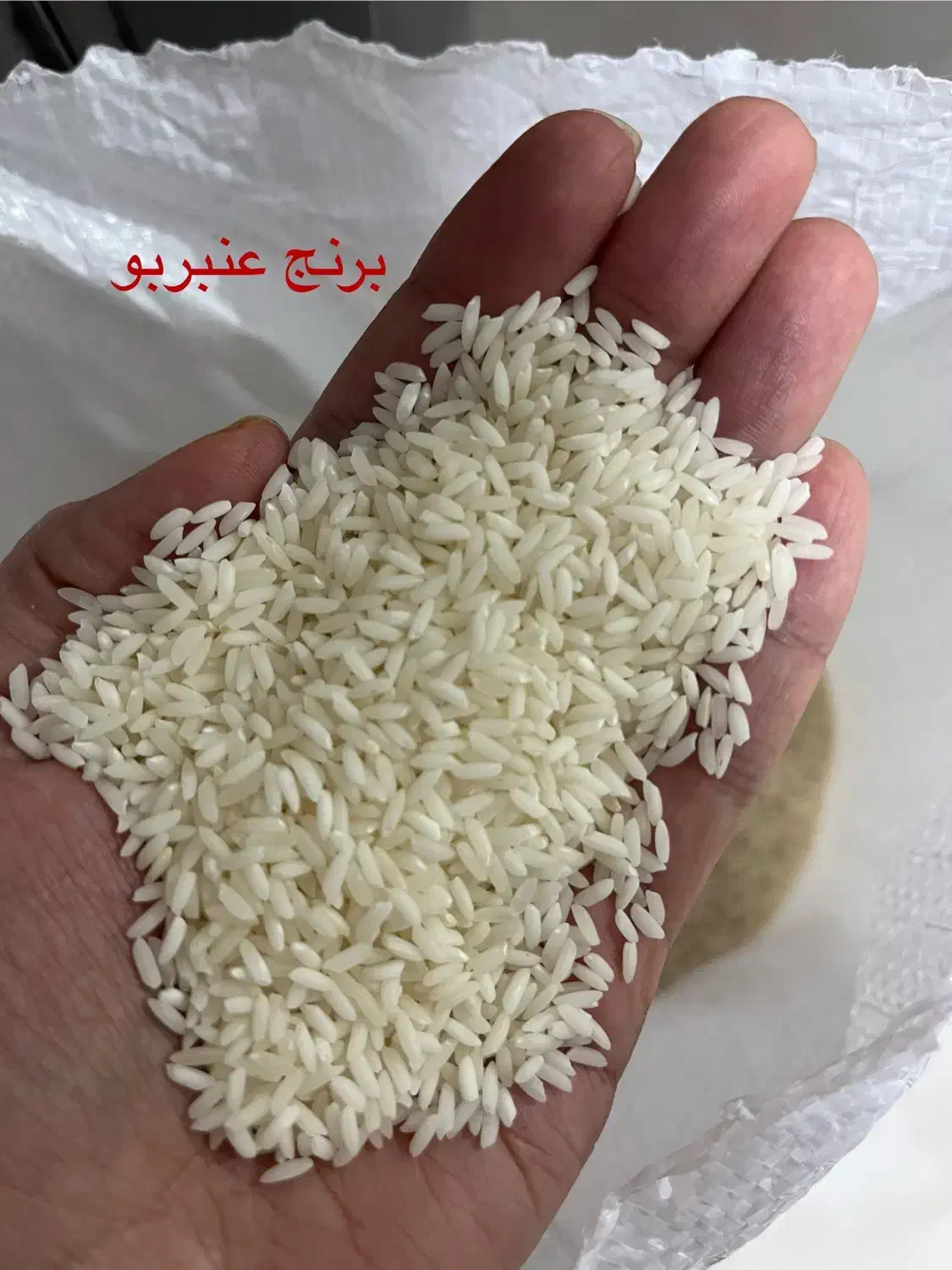 برنج طارم روشن|خوردنی و آشامیدنی|ساری, |دیوار