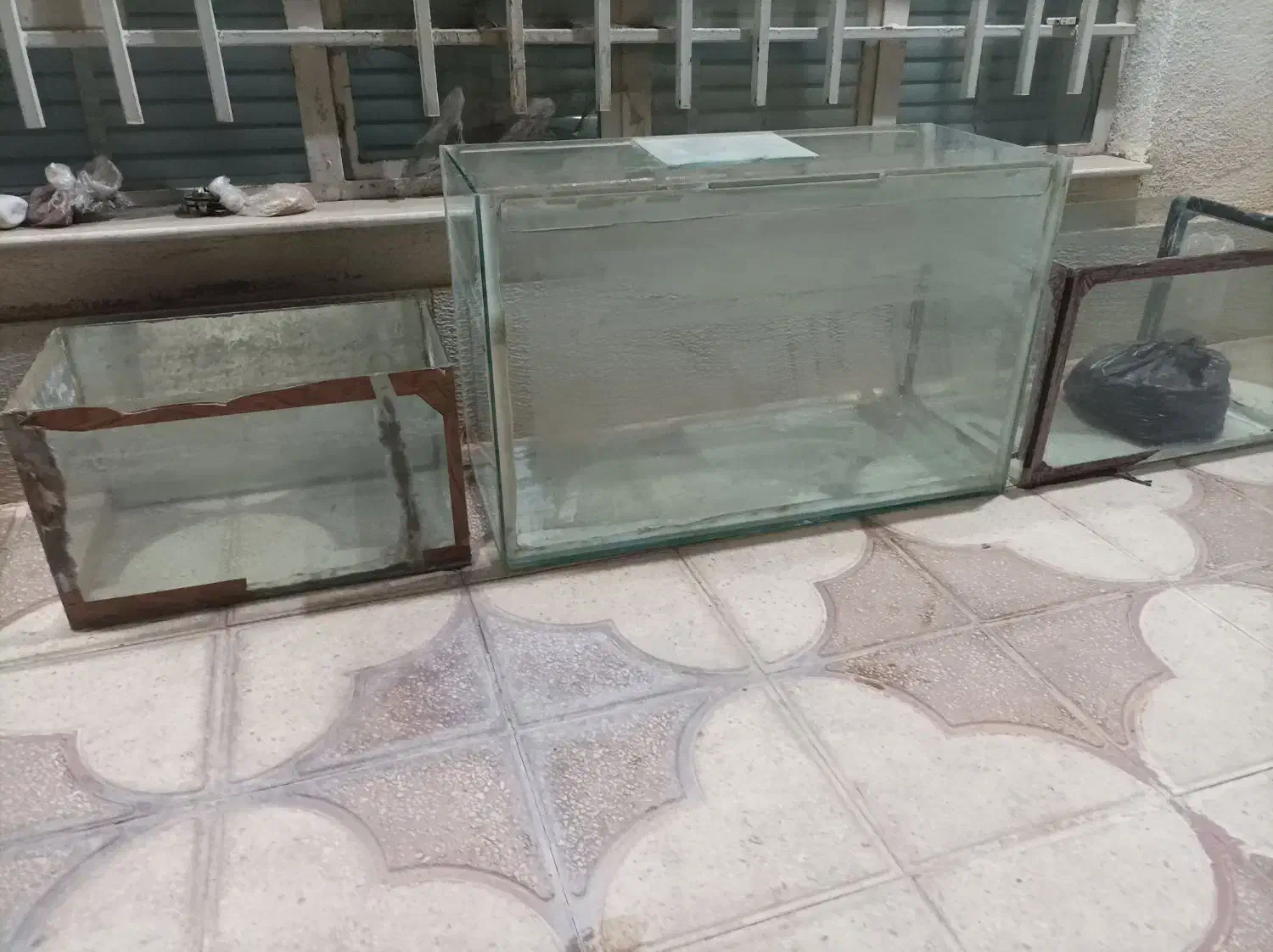 اکواریوم|ماهی|شیراز, شهرک قمشه|دیوار