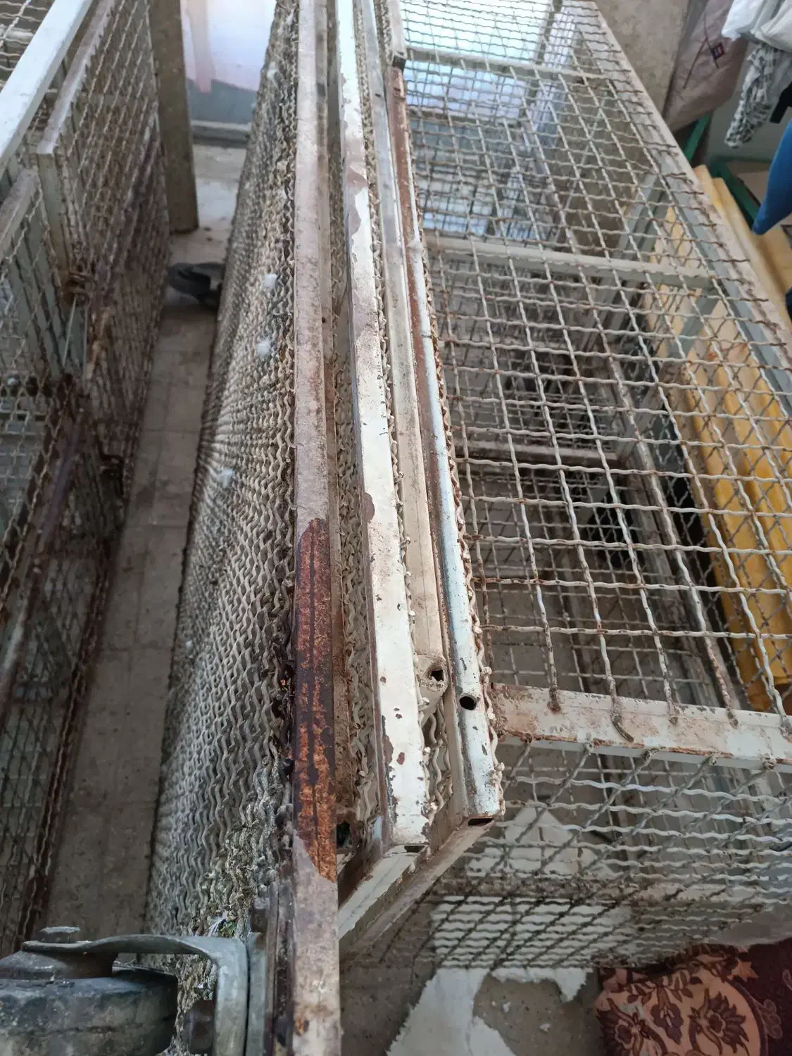 قفس چهارطبقه|لوازم جانبی حیوانات|صحنه, |دیوار