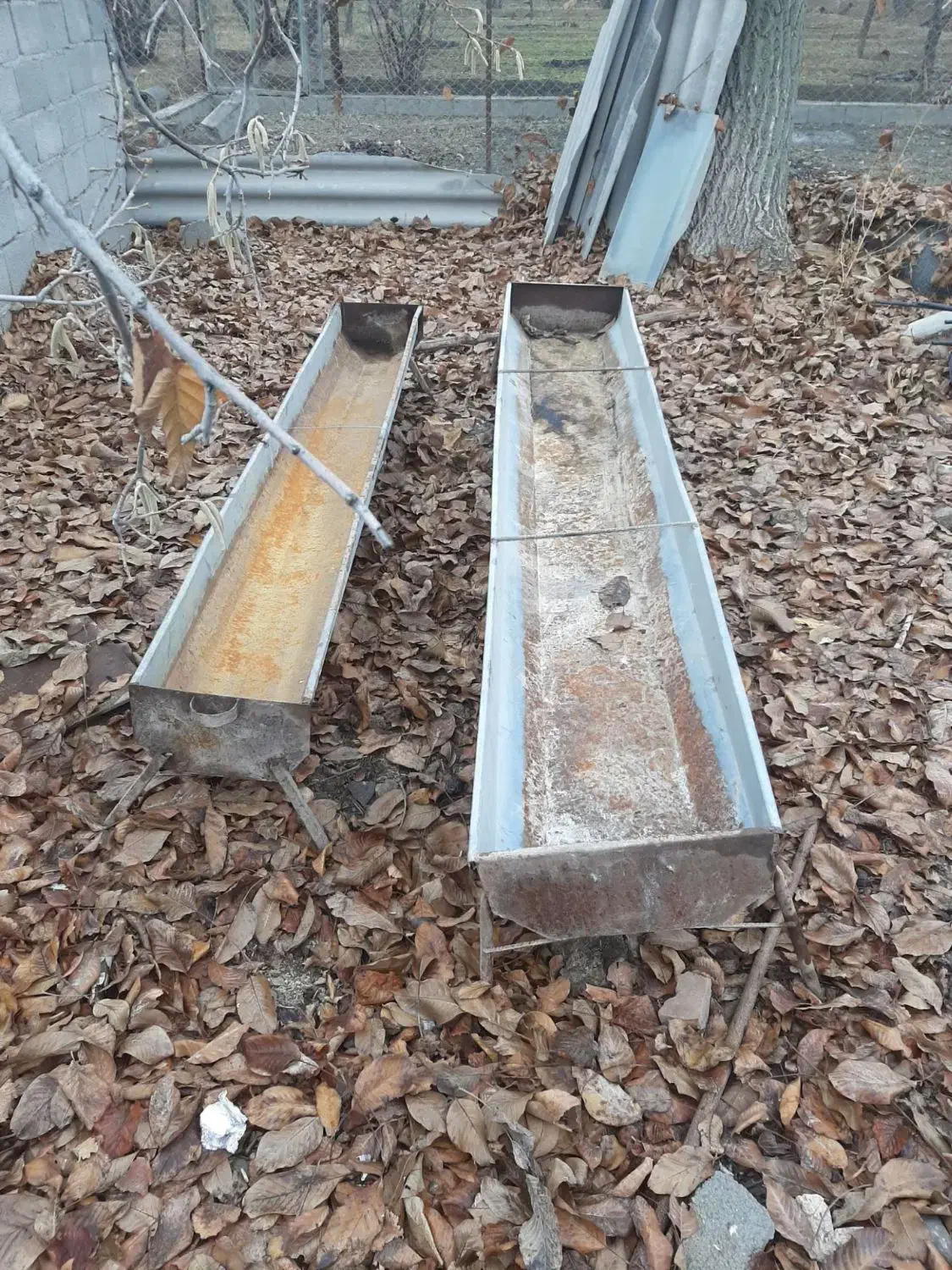 آخور گوسفند بره|حیوانات مزرعه|آذرشهر, |دیوار