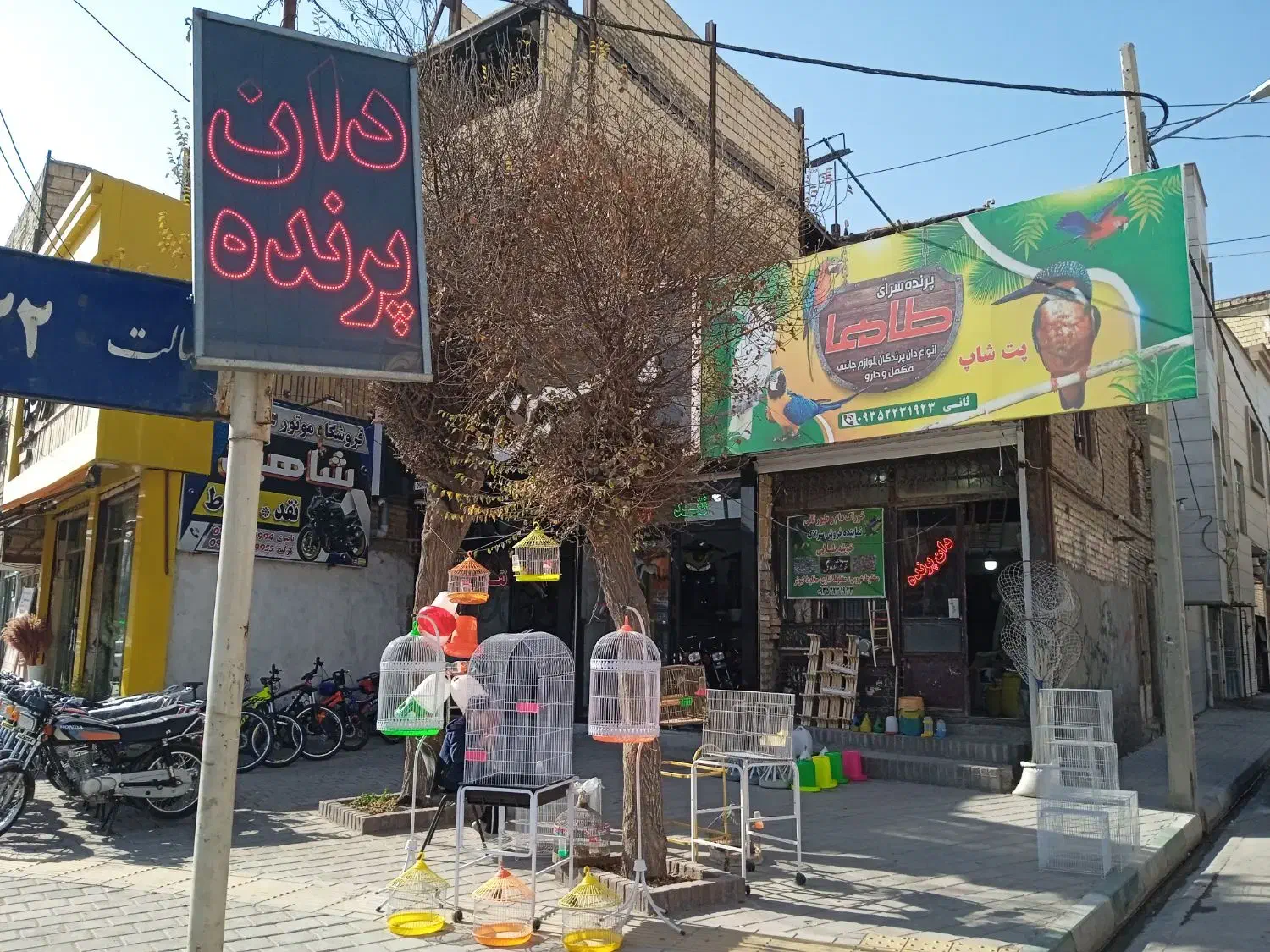 پرنده|پرنده|مشهد, همت آباد|دیوار