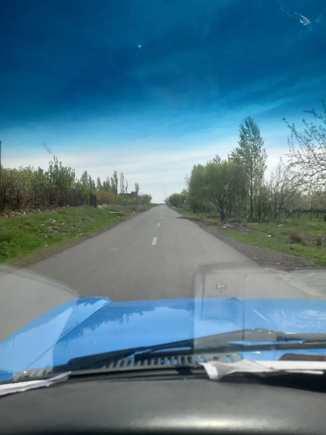 کاه کندم کمباین|حیوانات مزرعه|ترکمانچای, |دیوار