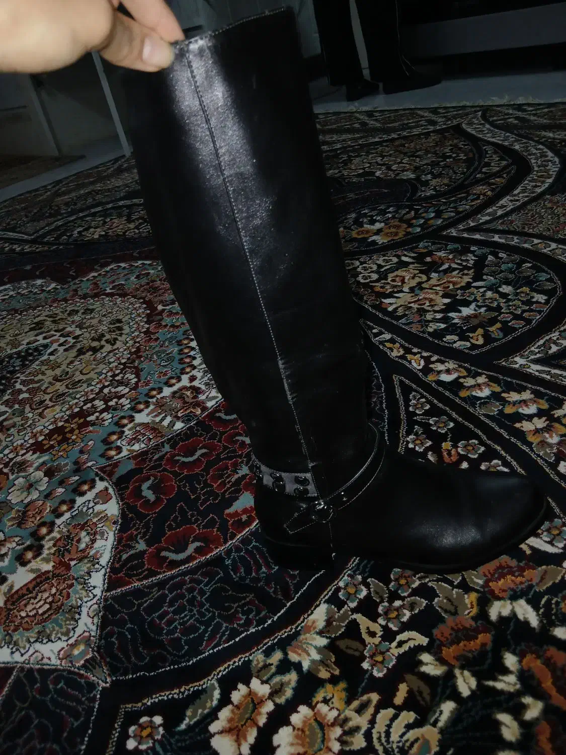 بوت بلند|کیف، کفش، کمربند|گرگان, |دیوار