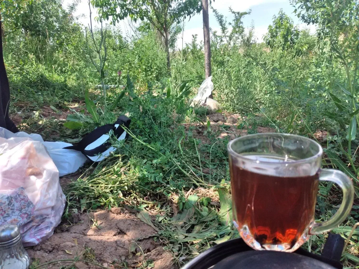 باغ ویلا خانه|فروش خانه و ویلا|خواجه, |دیوار