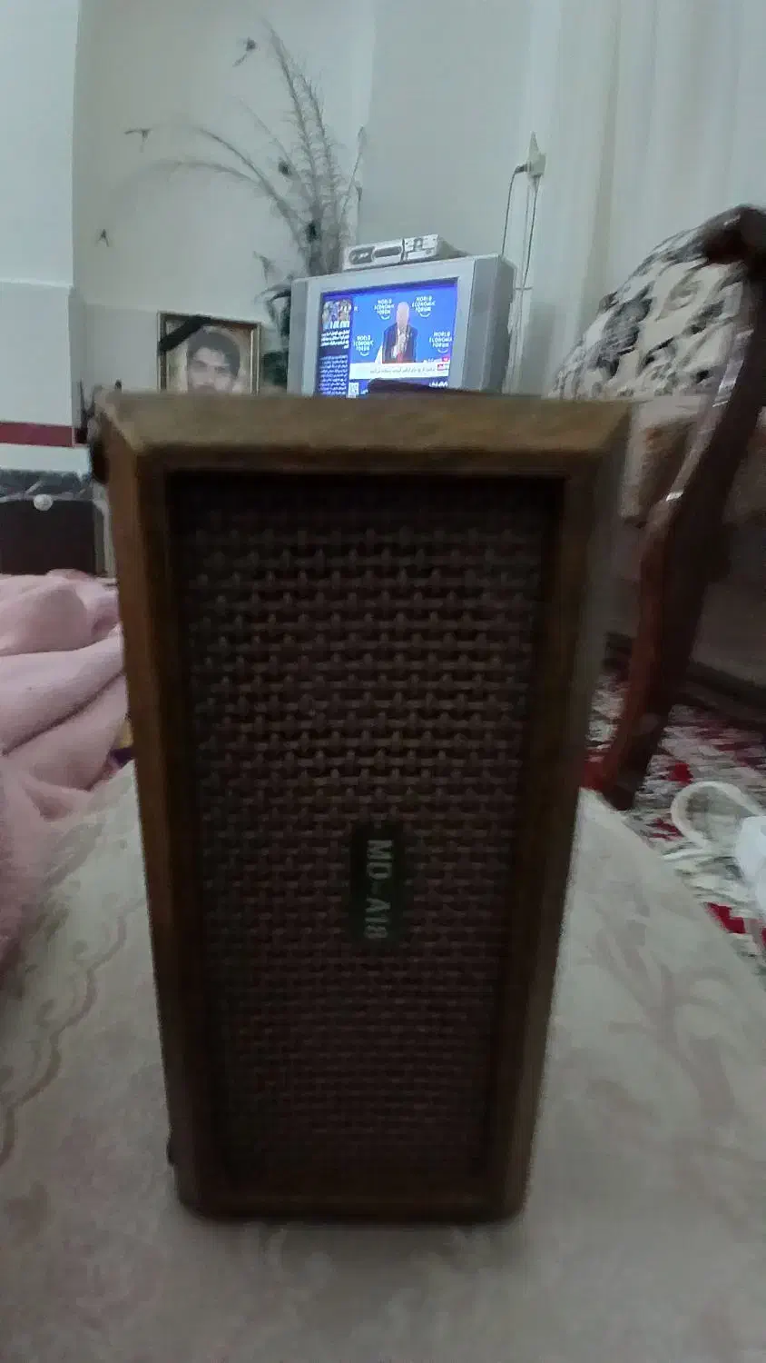 اسپیکر اصل|پخش‌کننده همراه|تفت, |دیوار