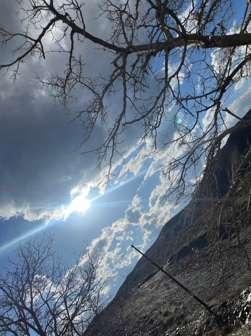 کارشناس بهداشت حرفه ای|استخدام صنعتی، فنی، مهندسی|تربت جام, کلالی|دیوار