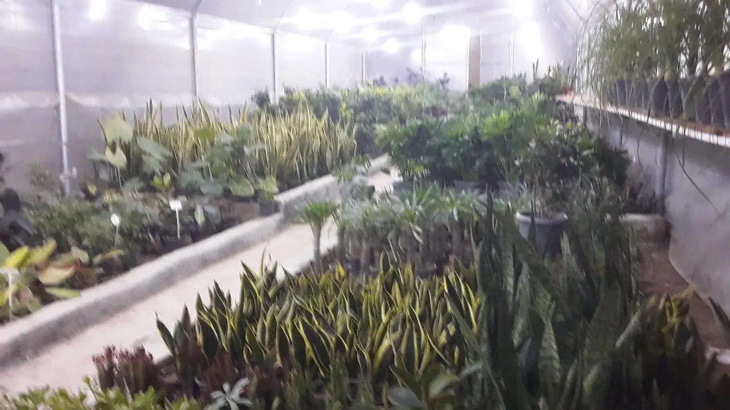 فروشنده|استخدام بازاریابی و فروش|بومهن, |دیوار