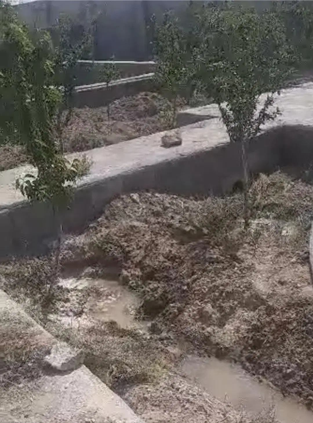 باغچه شهریار|فروش زمین و ملک کلنگی|رباطکریم, انجم آباد|دیوار