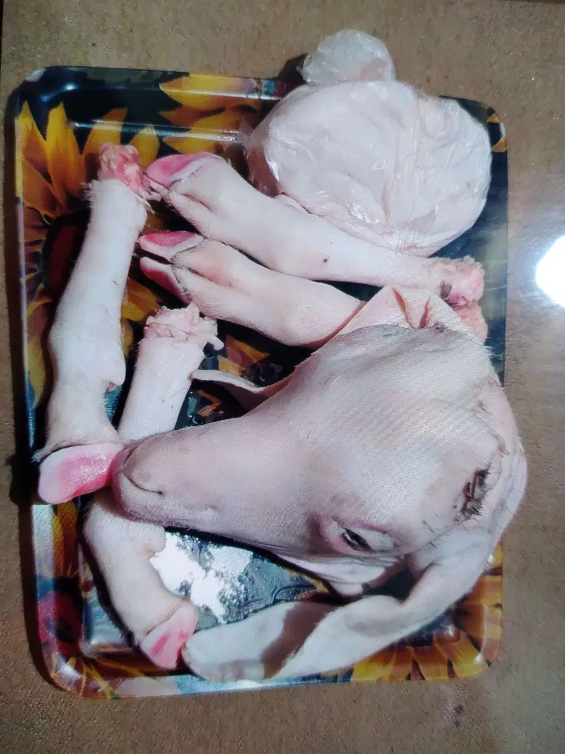 کله پاچه گیسک تمیز بادست پاک شده|خوردنی و آشامیدنی|جوانرود, |دیوار