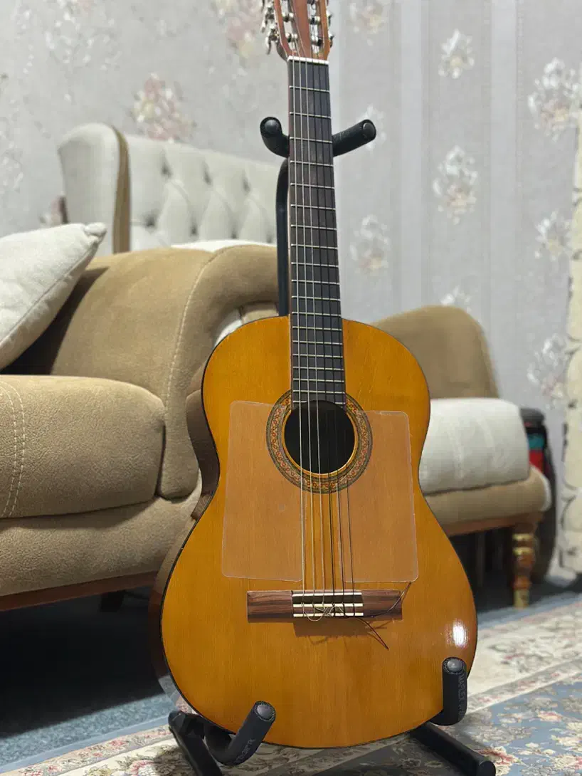 گیتار یاماها C40|گیتار، بیس، امپلیفایر|میناب, |دیوار