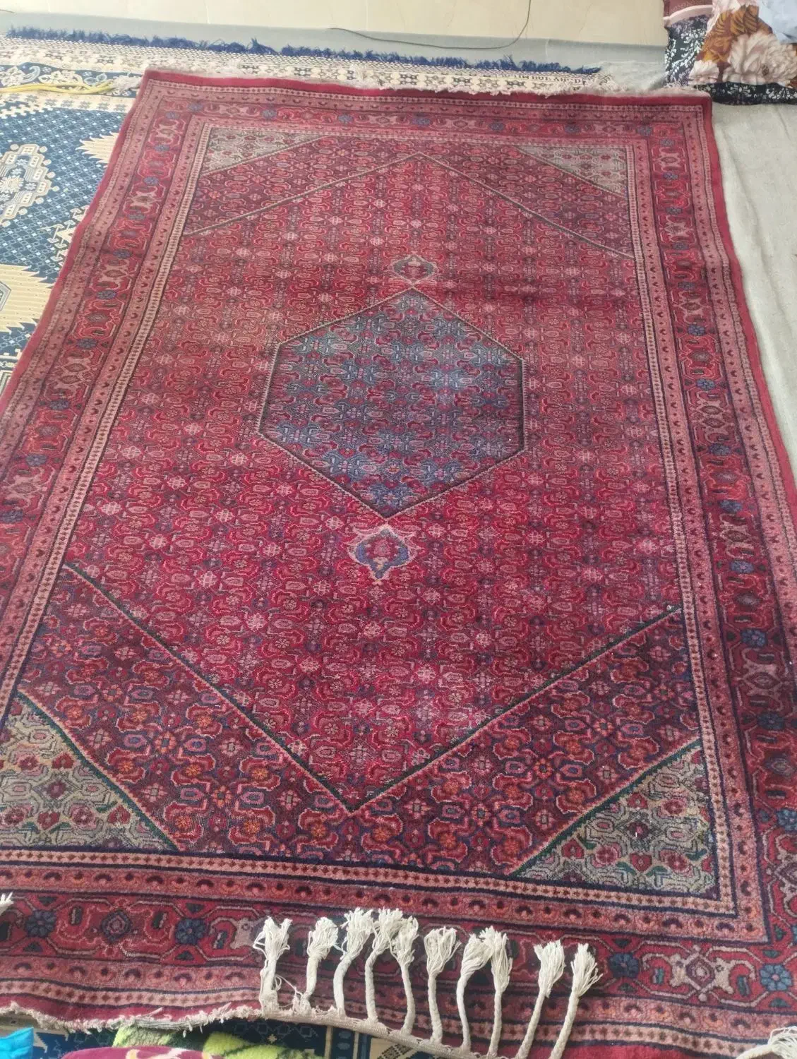 فرش دستباف|فرش|زنجان, |دیوار