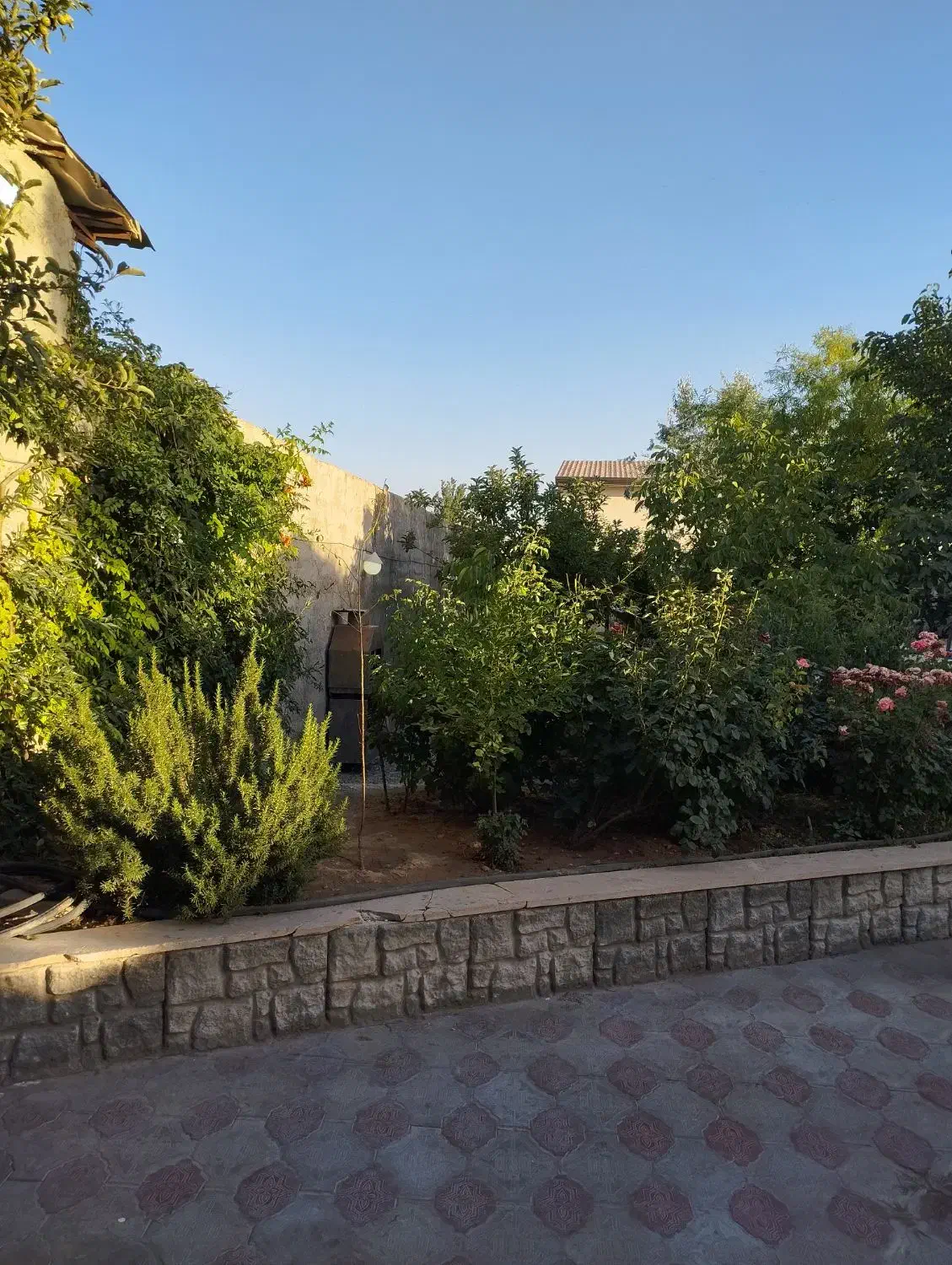 فروش باغچه ۶۰۰ متری در شورقلعه داخل بافت|فروش خانه و ویلا|چهارباغ, |دیوار