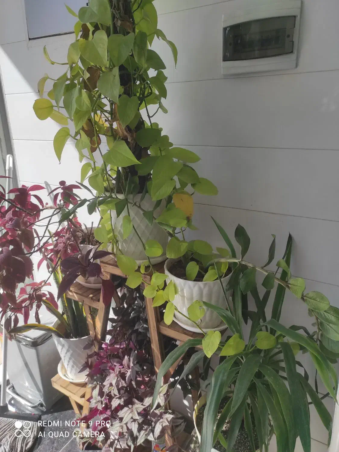 رهن کامل یک طبق دربست رکن آباد شیراز|اجارهٔ خانه و ویلا|شیراز, رکنآباد|دیوار