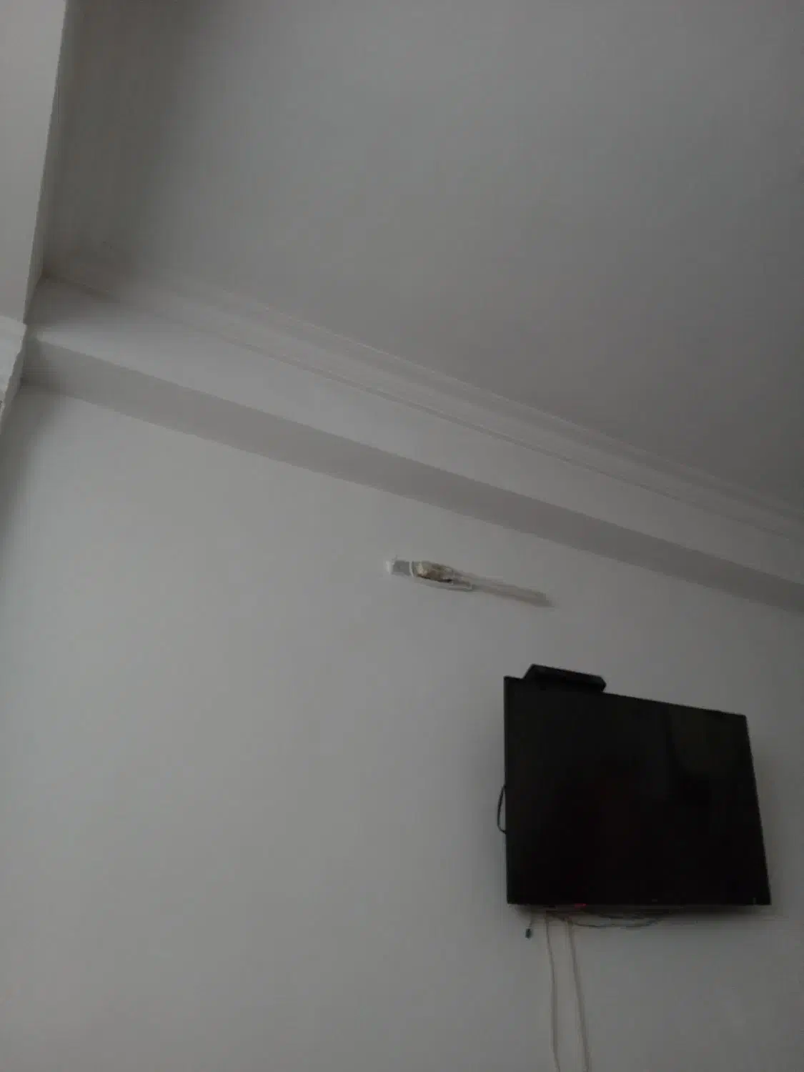 دامداری وخانه ۳هزارمتری جهت اجاره فوری دابودشت امل|اجارهٔ خانه و ویلا|دابودشت, |دیوار