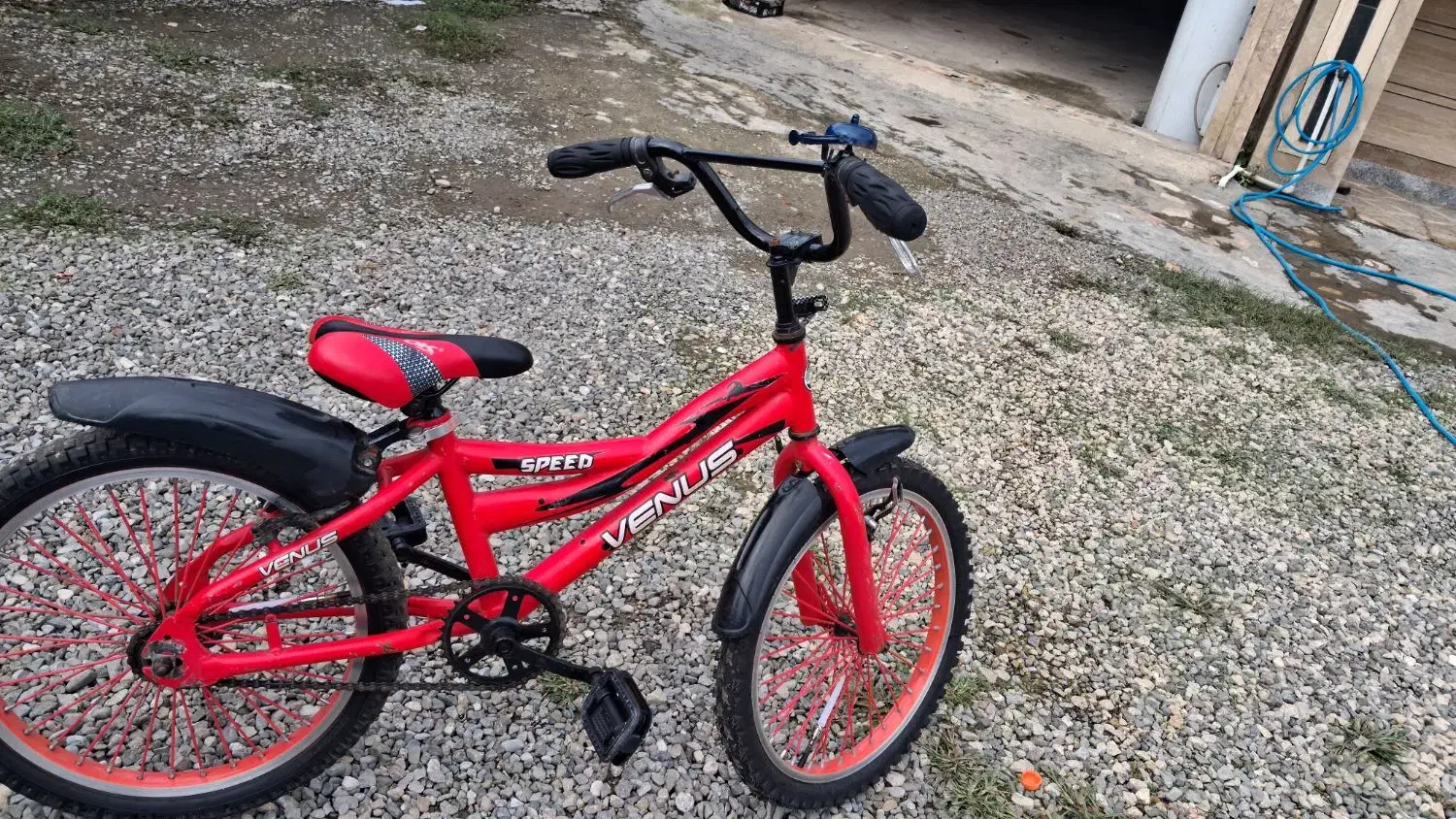دوچرخه سایز ۲۰ venus قرمز مات|دوچرخه، اسکیت، اسکوتر|تالش, طولارود|دیوار