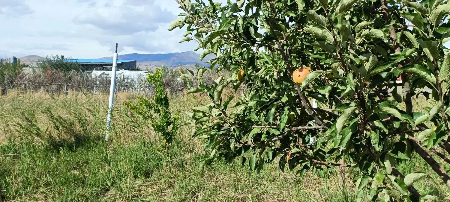 باغ با خانه باغ در شهر هریس|فروش خانه و ویلا|هریس, |دیوار