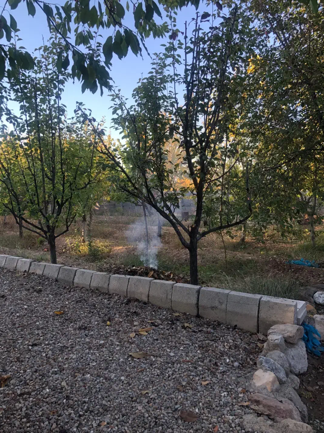 باغ|فروش خانه و ویلا|جلفا, |دیوار