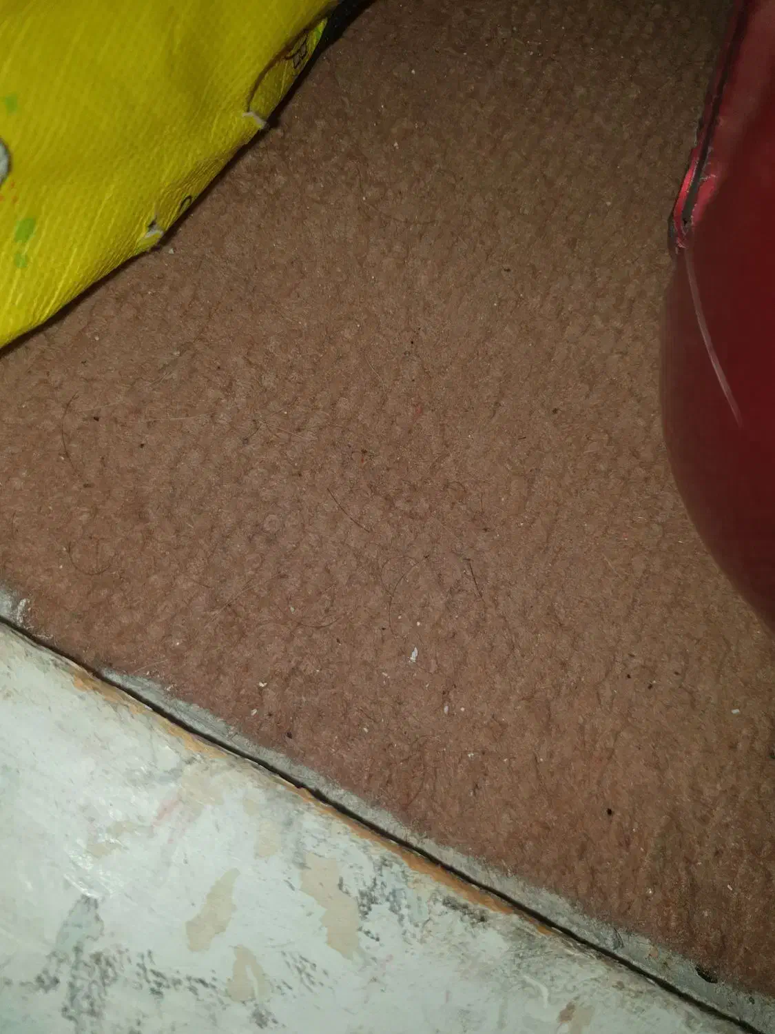 موکت کارکرده حدود۳در۴ ۲عدد|موکت|گرگان, |دیوار