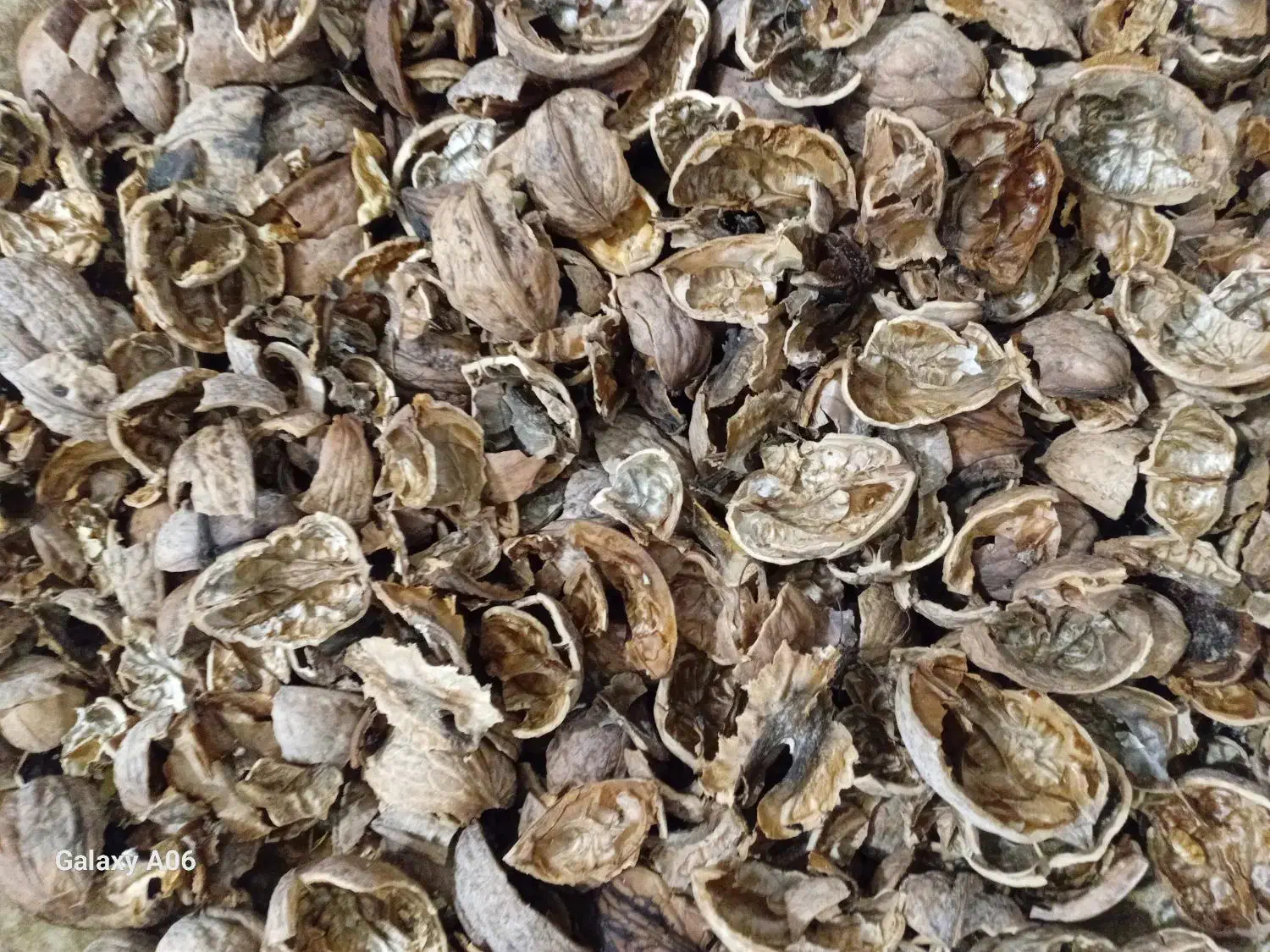 خرید پوست گردو|خدمات پیشه و مهارت|آذرشهر, |دیوار