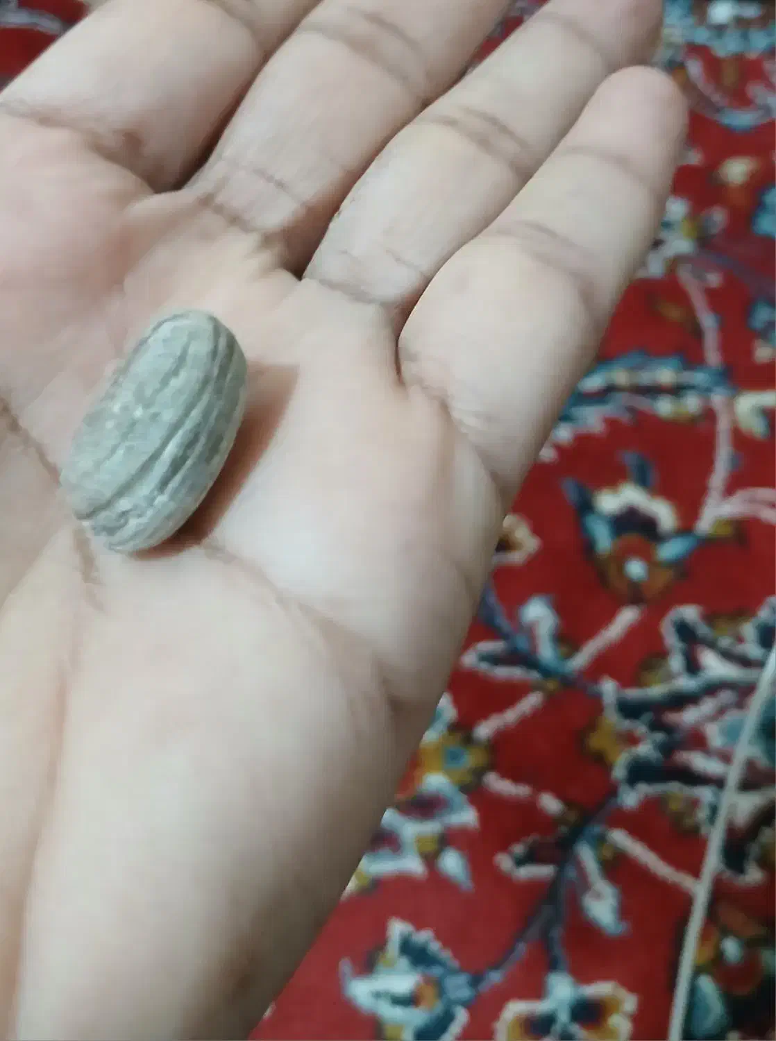 سنگ فسیل|جواهرات|میناب, |دیوار