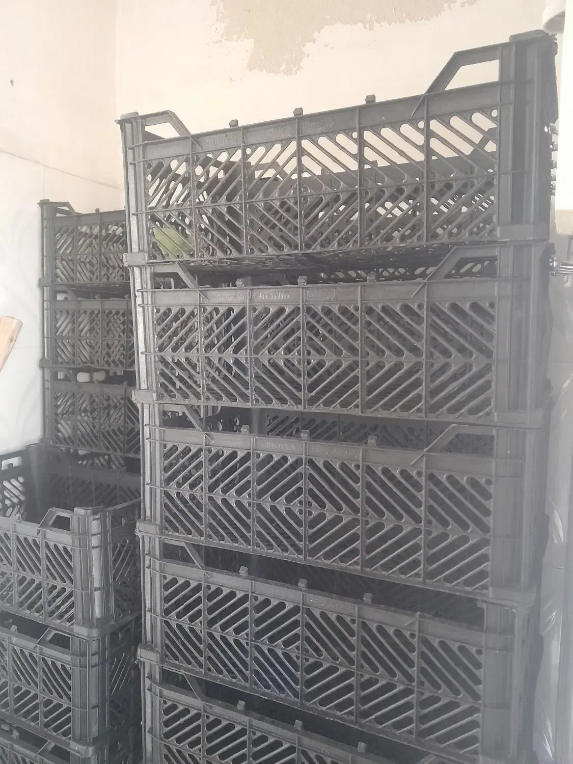 سبد صفر صفر|عمدهفروشی|مریوان, |دیوار