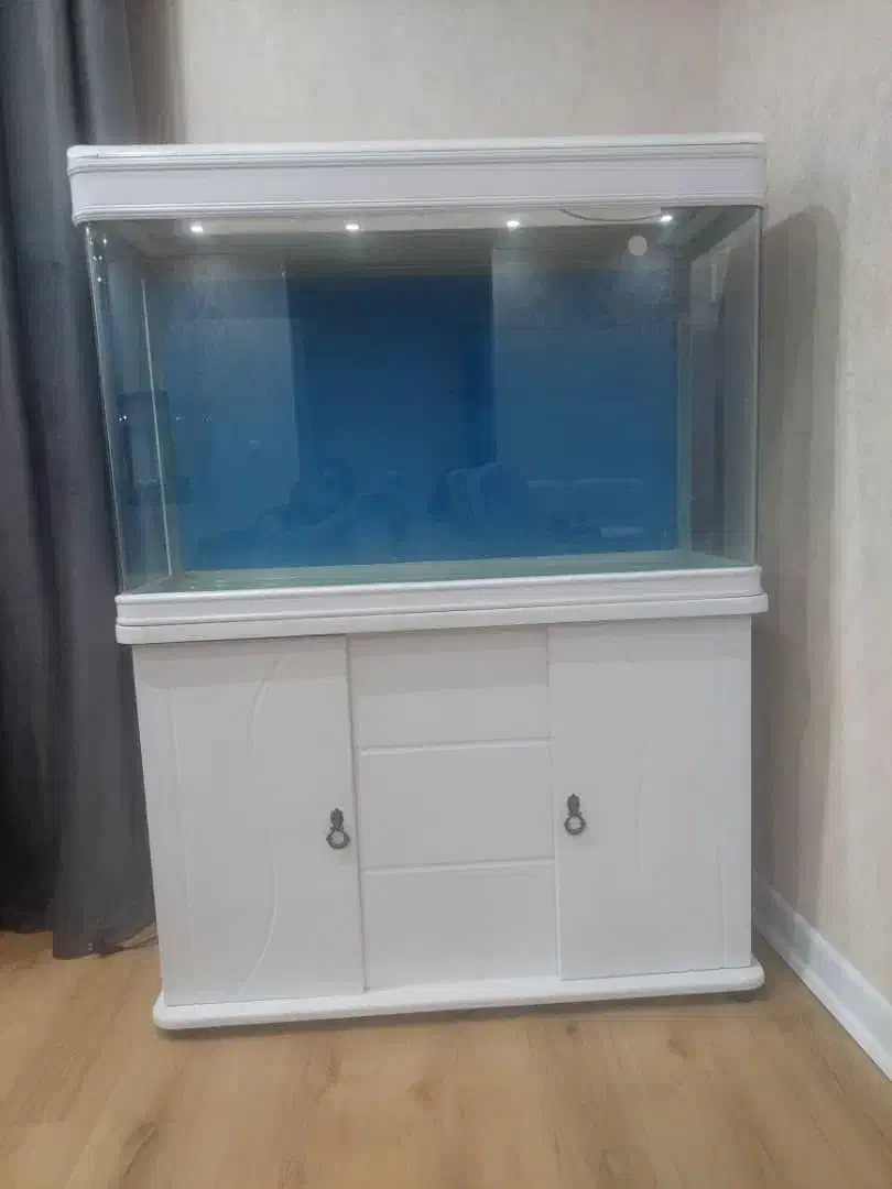 فروش آکواریوم دلسا مدل k1000|ماهی|بندرعباس, |دیوار