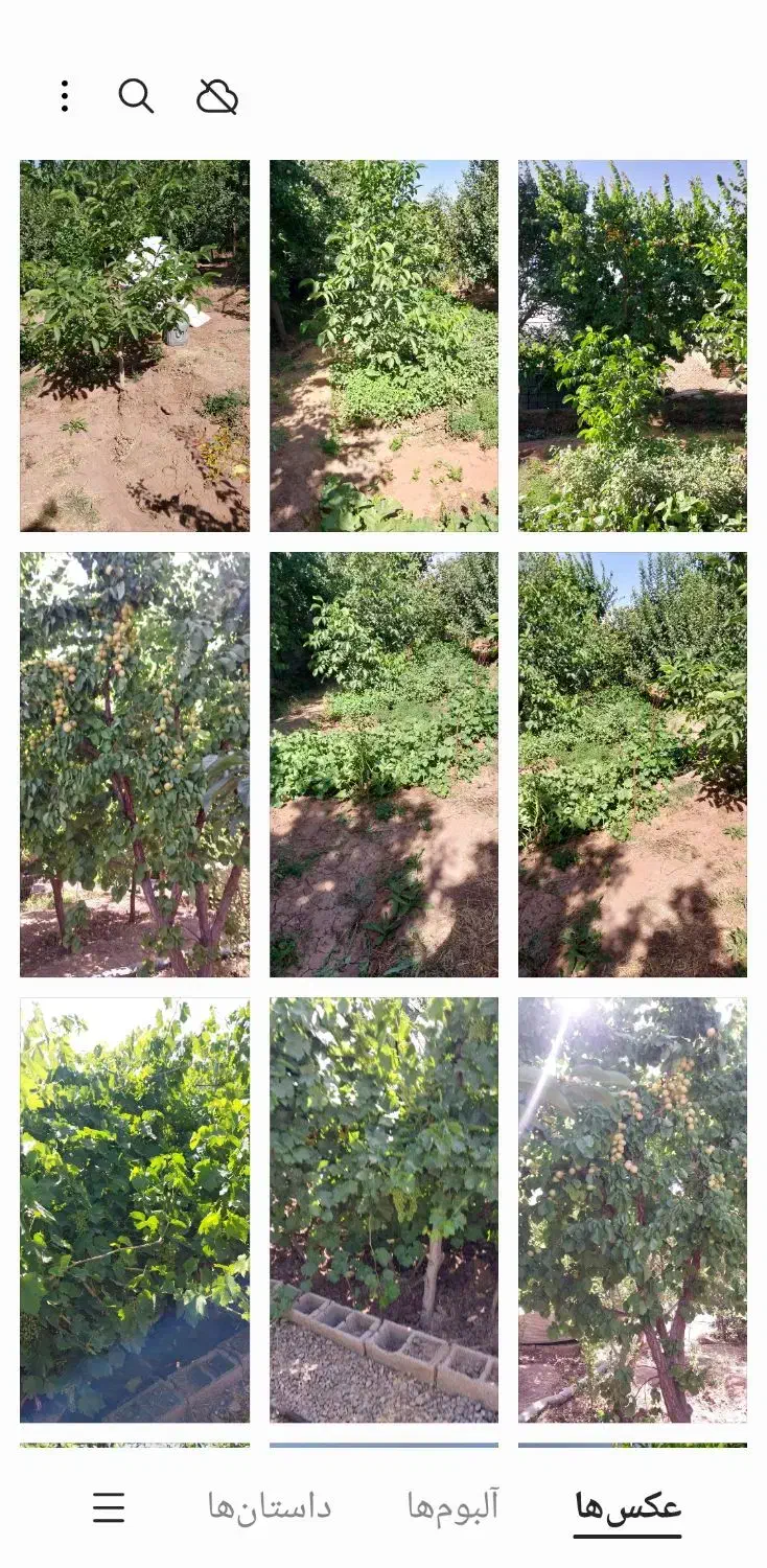 باغ|فروش خانه و ویلا|یامچی, |دیوار