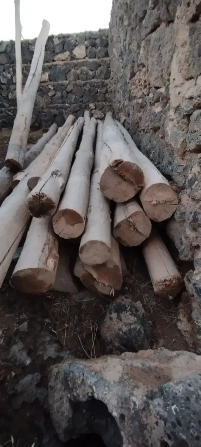 چوب های سقف|عمدهفروشی|پلدشت, |دیوار