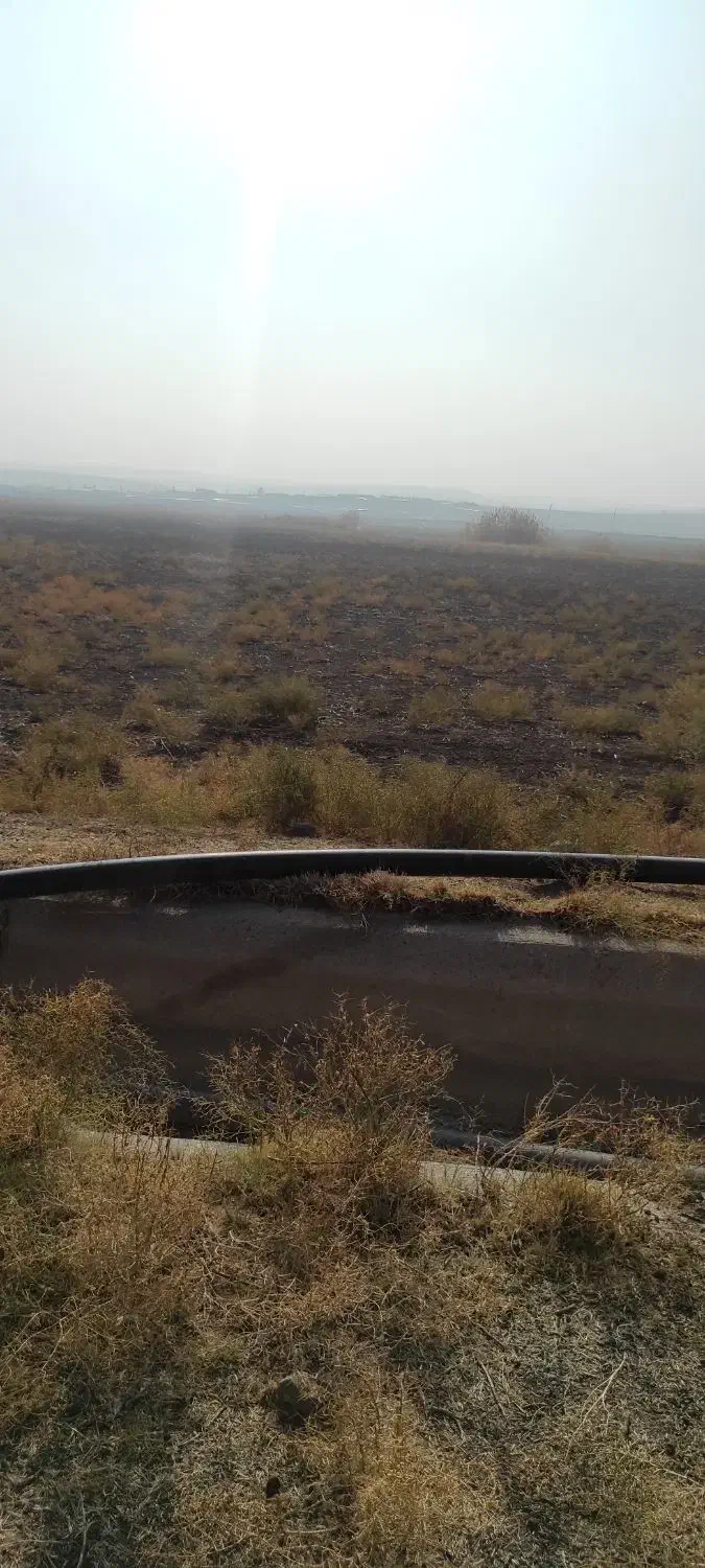 ۱۸۳۰۰ متر زمین زراعی با سند تک برگ عرصه و اعیان|فروش دفتر صنعتی، کشاورزی، تجاری|میاندوآب, |دیوار