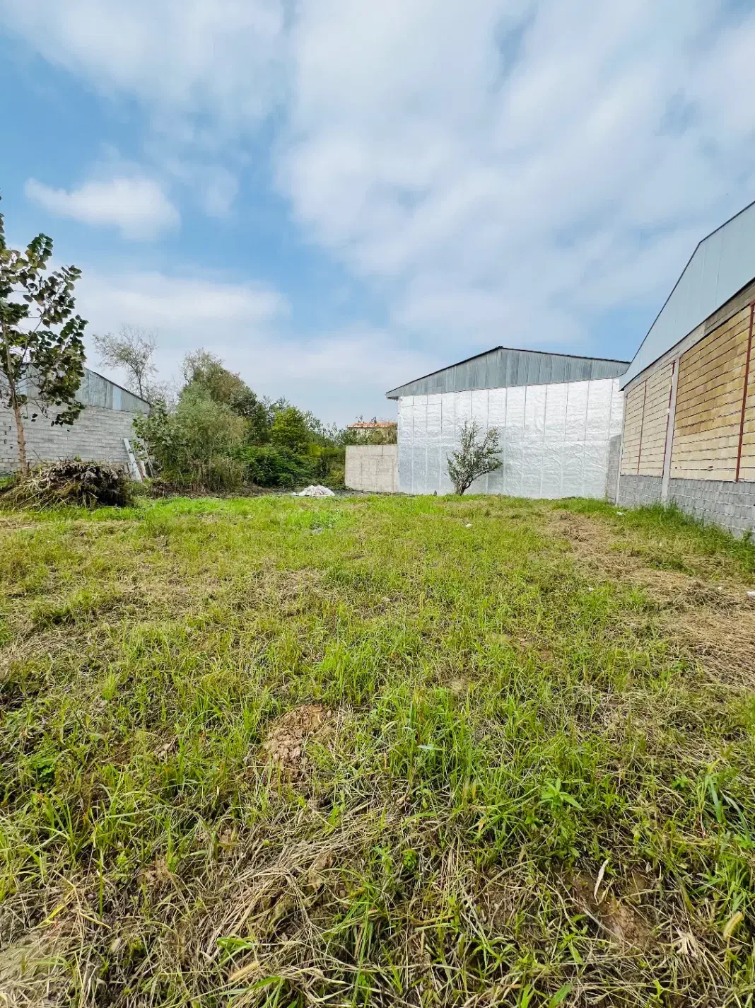 زمین احمد گوراب ۳۷۰ متری نسقی قابل ساخت هستش|فروش زمین و ملک کلنگی|رشت, احمد گوراب|دیوار