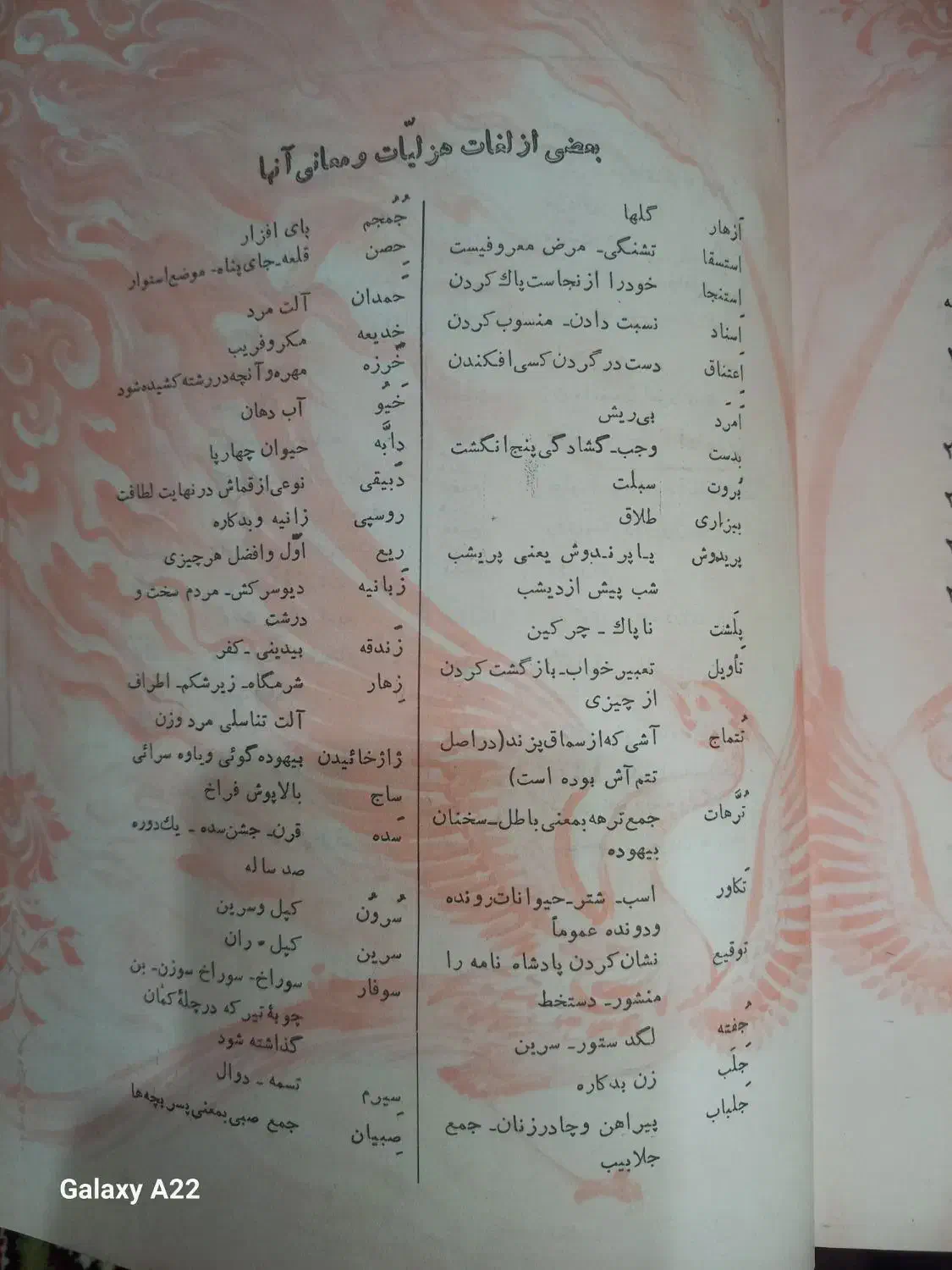 کلیات سعدی|کتاب و مجله ادبی|شیراز, گل سرخ|دیوار