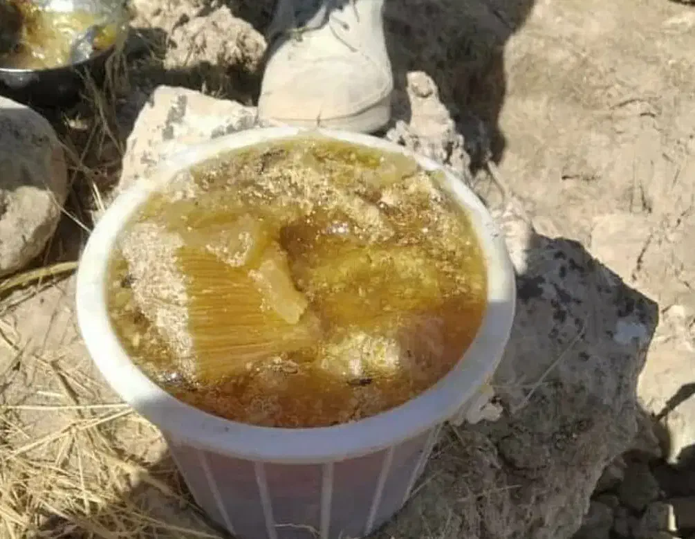 عسل طبیعی|حراج|شوشتر, |دیوار