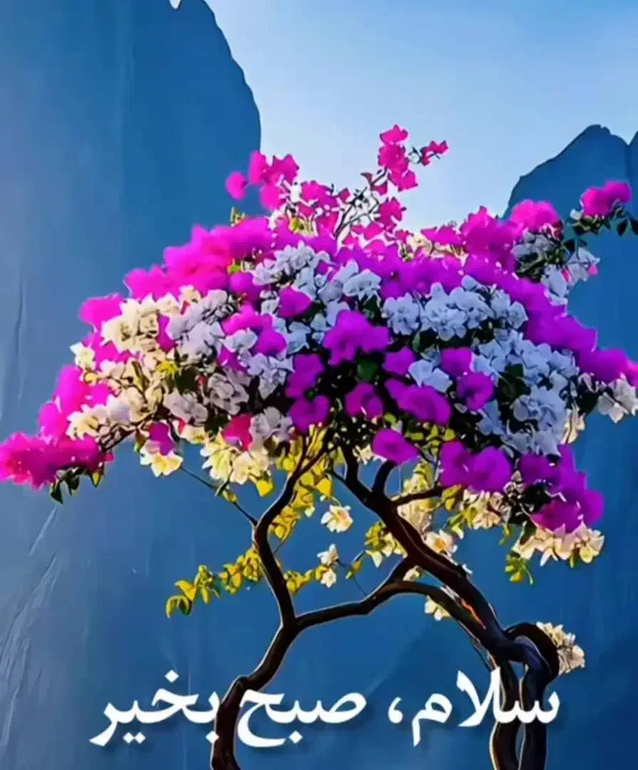 کسی وام ازدواج داشت خریدارم|خدمات مالی، حسابداری، بیمه|بندر ترکمن, |دیوار