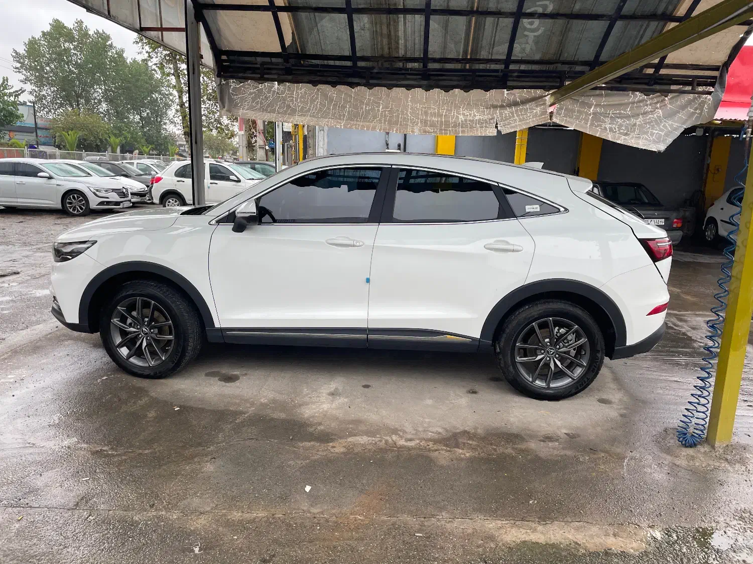 دیگنیتی پرایم|خودرو سواری و وانت|رشت, بلوار گیلان|دیوار